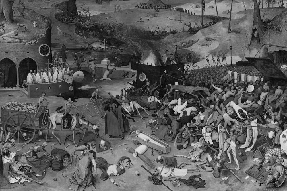 elvirusdelaignornacia